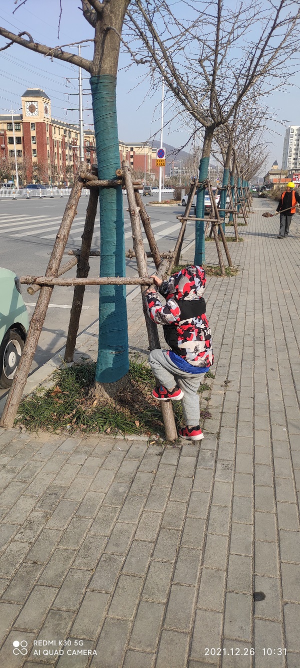 IMG_20211226_103117.jpg